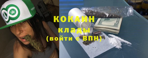 шишки Балахна