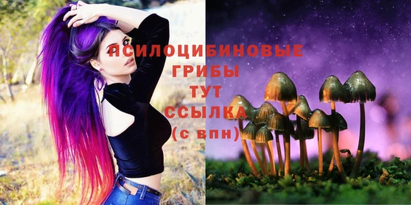 шишки Балахна