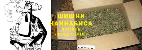 шишки Балахна