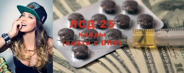 шишки Балахна