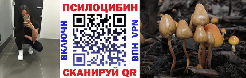 Галлюциногенные грибы Cubensis  Купить где  Вязьма 